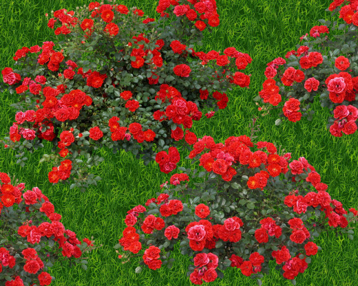 426064 (a): :1280x1024